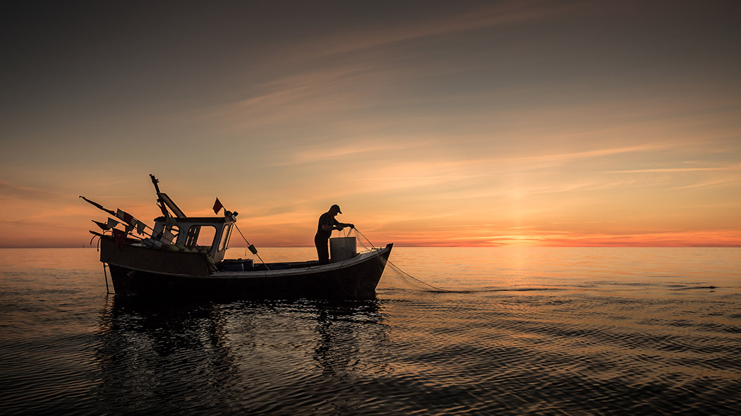 A fisherman works with a net in a fishing boat. The sun is setting, the sea is calm.