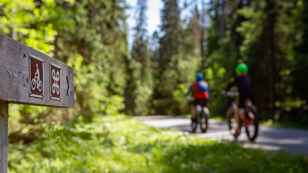 Cykelvägsskyltar och cyklister på en skogsväg.