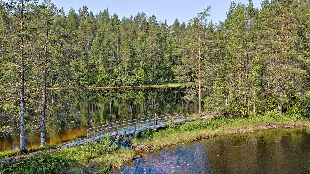 Skogens träd avspeglas i sjöns blanka yta.